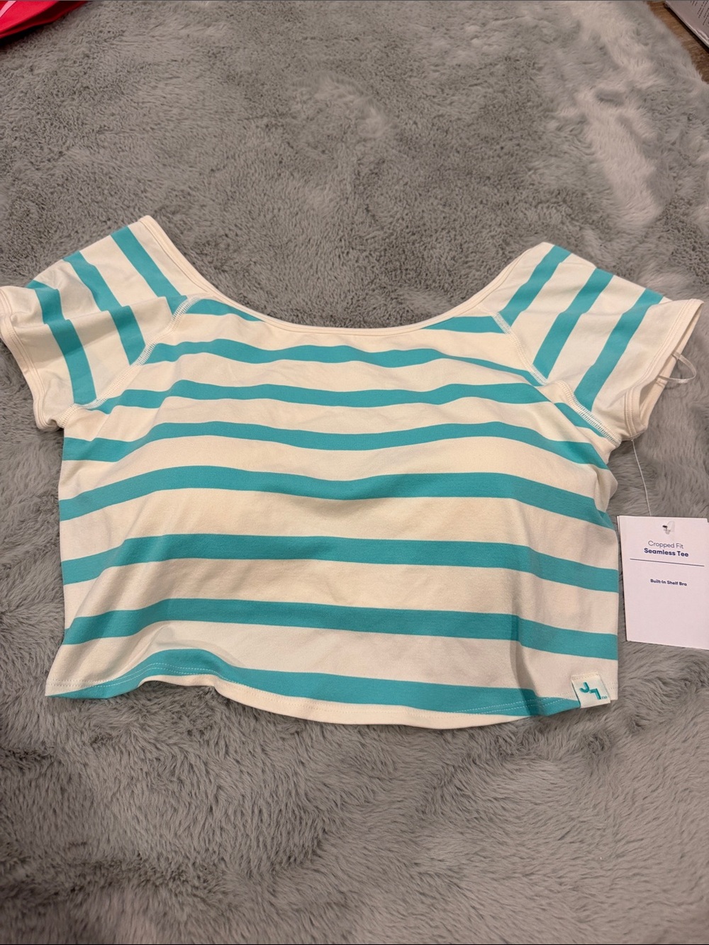 JoyLab Aqua and Cream Striped Cropped Tee